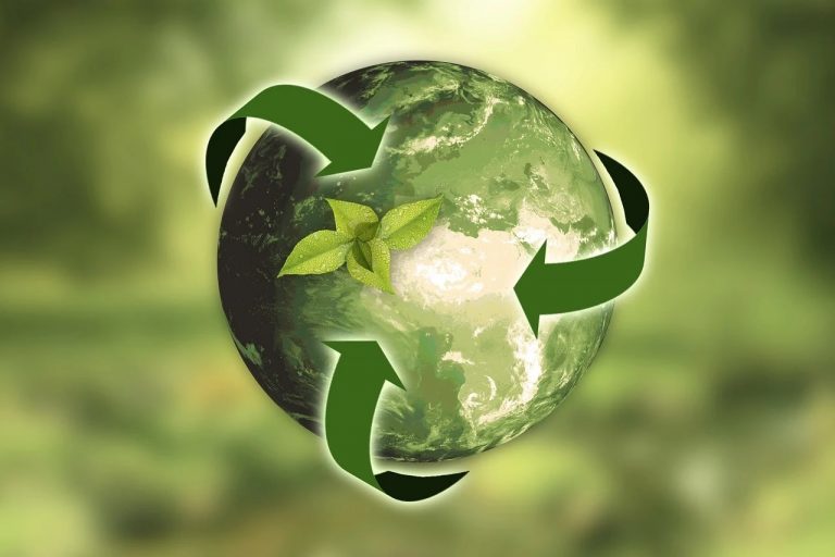 En savoir plus sur le jour de dépassement de la Terre