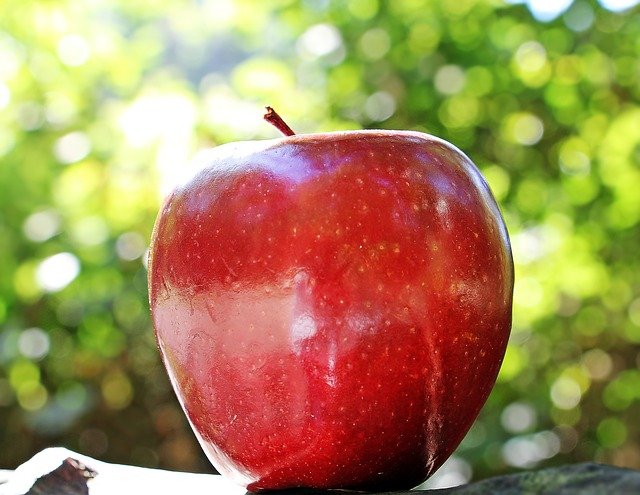 Quelques conseils pour conserver des pommes
