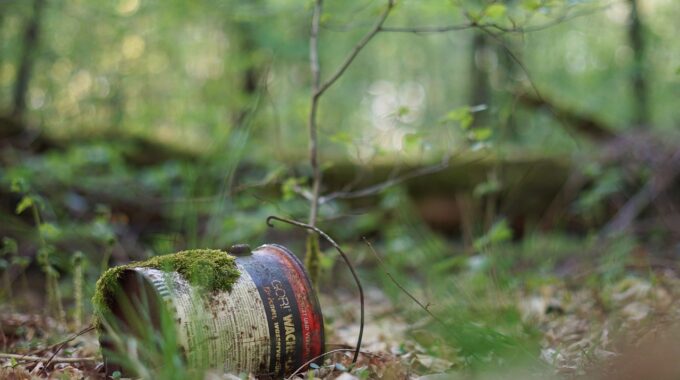 Diagnostic pollution des sols : quand est-ce que c’est obligatoire ?