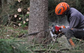 Comment abattre un arbre dans une zone protégée sans violer les réglementations environnementales ?