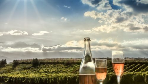 Le champagne de réserve : une palette de saveurs provenant des années précédentes