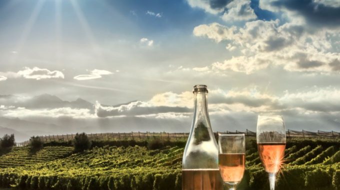 Le champagne de réserve : une palette de saveurs provenant des années précédentes